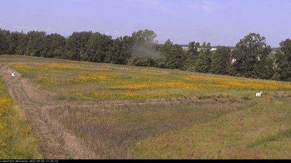 Cell 2_23-09-05_11-34-53-96