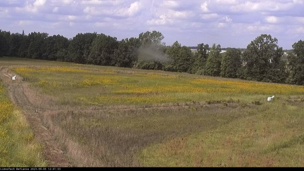 Cell 2_23-09-05_12-41-53-90