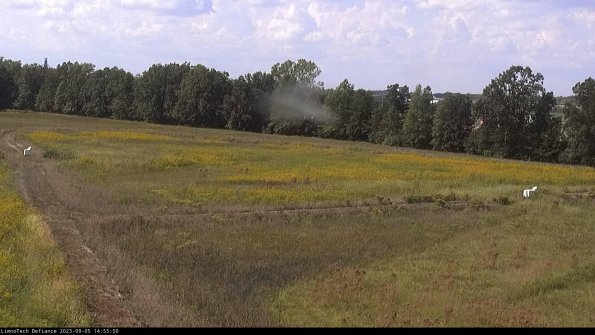 Cell 2_23-09-05_14-55-50-94