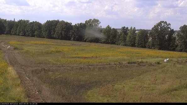 Cell 2_23-09-05_15-29-20-89