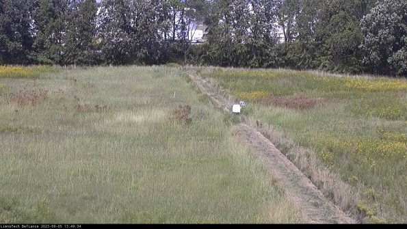 Cell 3 to 4_23-09-05_13-49-34-88