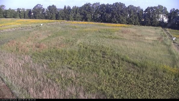 Cell 3_23-09-05_08-47-54-13