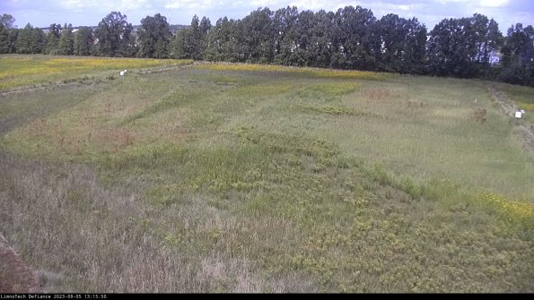 Cell 3_23-09-05_13-15-50-88