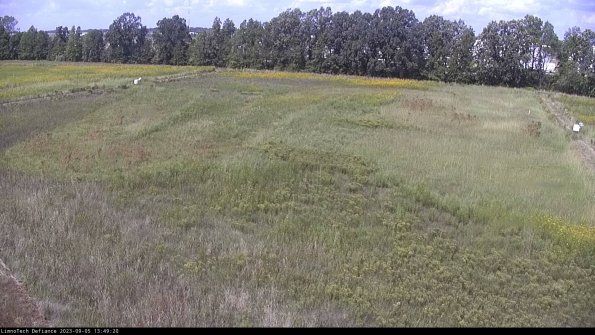 Cell 3_23-09-05_13-49-20-86