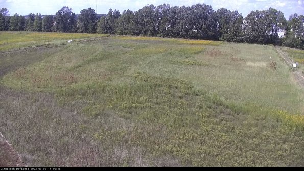 Cell 3_23-09-05_14-56-18-90