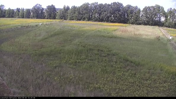 Cell 3_23-09-05_15-29-48-88