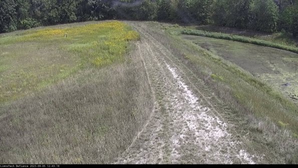 Cell 4 to Basin_23-09-05_12-43-19-89