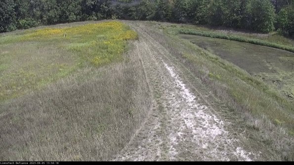 Cell 4 to Basin_23-09-05_13-50-18-89