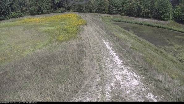 Cell 4 to Basin_23-09-05_14-57-16-89