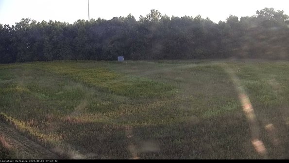 Cell 4_23-09-05_07-41-22-88