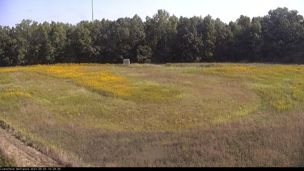 Cell 4_23-09-05_10-28-49-88