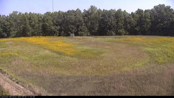 Cell 4_23-09-05_11-35-49-89