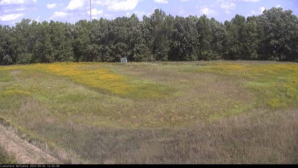 Cell 4_23-09-05_12-42-49-89