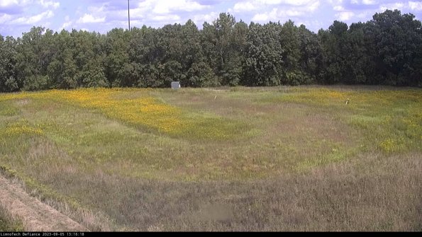 Cell 4_23-09-05_13-16-18-91