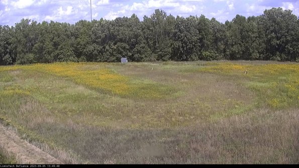 Cell 4_23-09-05_13-49-48-89