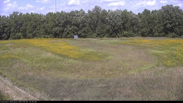 Cell 4_23-09-05_14-56-46-86