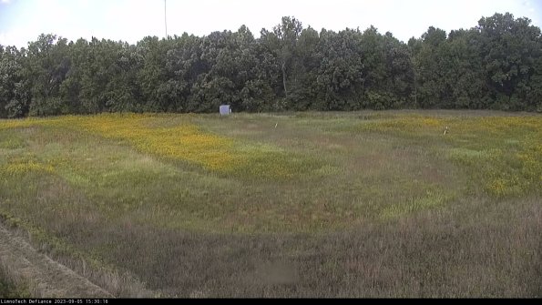 Cell 4_23-09-05_15-30-16-88