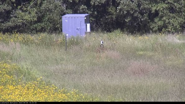 Outlet_23-09-05_14-57-01-87