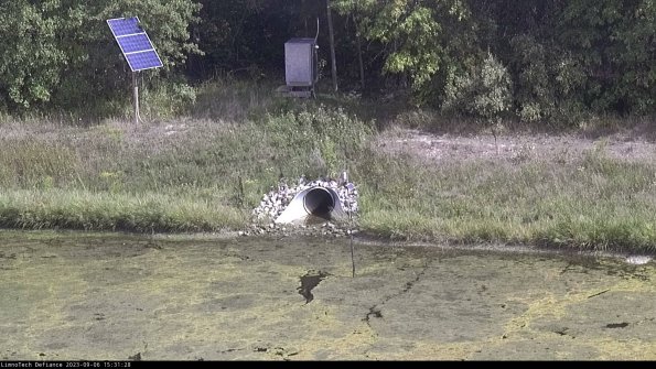 Basin Inflow_23-09-06_15-31-28-89