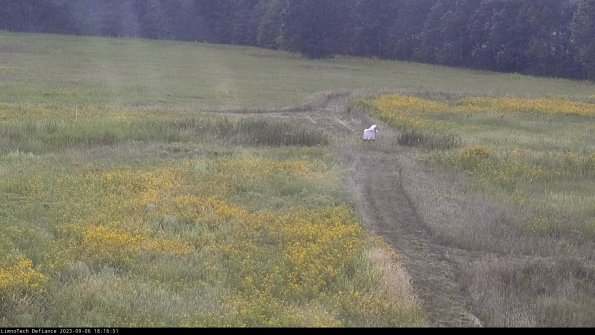 Cell 1 to 2_23-09-06_18-16-51-89