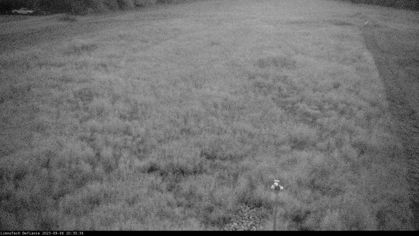 Cell 1_23-09-06_20-30-36-86