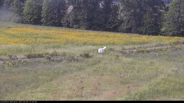 Cell 2 to 3_23-09-06_15-29-49-12