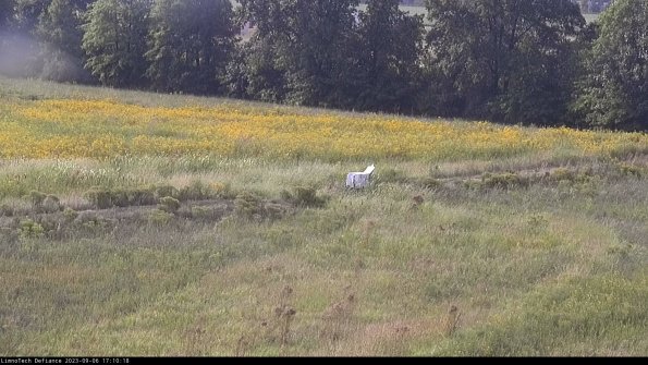 Cell 2 to 3_23-09-06_17-10-19-05