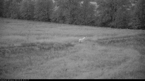 Cell 2 to 3_23-09-06_20-31-17-87