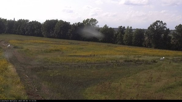 Cell 2_23-09-06_17-10-05-94