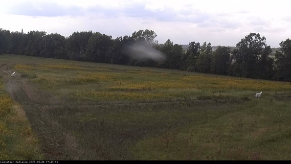 Cell 2_23-09-06_17-43-35-92