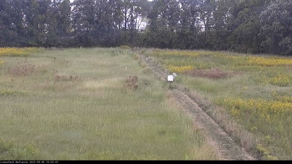 Cell 3 to 4_23-09-06_16-03-47-87