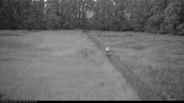 Cell 3 to 4_23-09-06_20-31-46-86