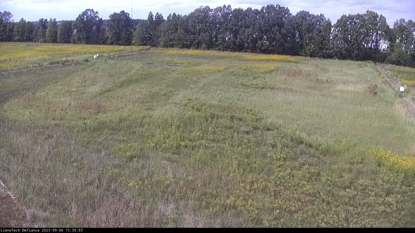 Cell 3_23-09-06_15-30-03-87