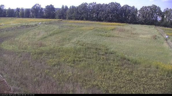 Cell 3_23-09-06_17-10-33-90