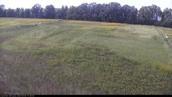 Cell 3_23-09-06_17-44-03-88