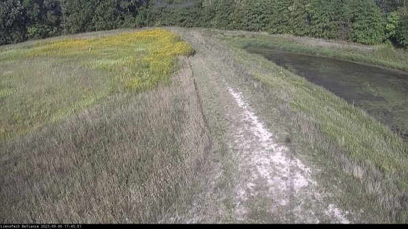 Cell 4 to Basin_23-09-06_17-45-01-91