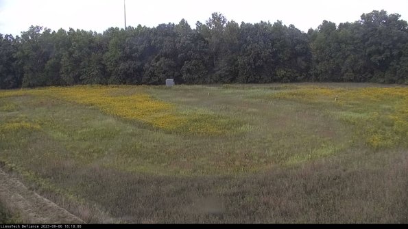 Cell 4_23-09-06_18-18-00-90