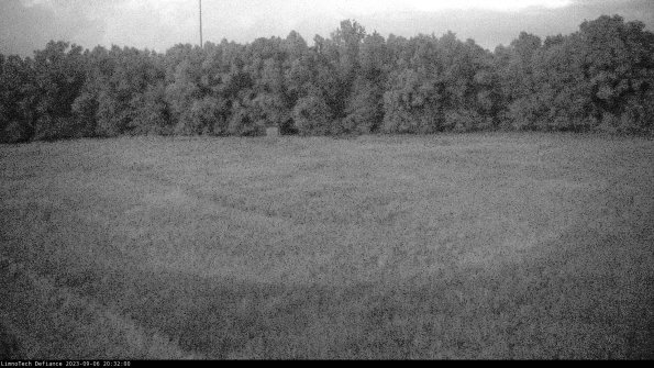 Cell 4_23-09-06_20-32-00-88