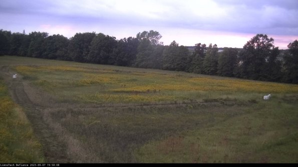 Cell 2_23-09-07_19-58-08-91