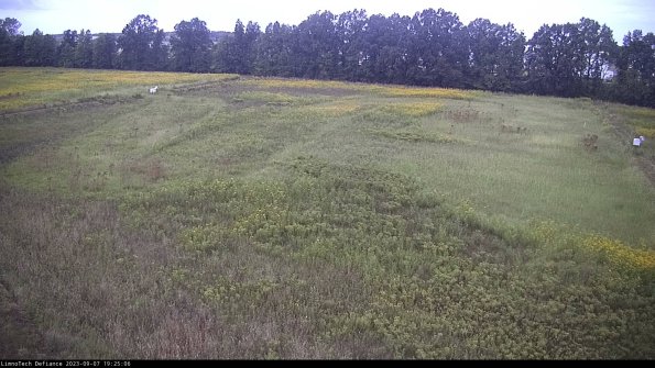 Cell 3_23-09-07_19-25-07-11