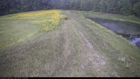 Cell 4 to Basin_23-09-07_19-26-04-87