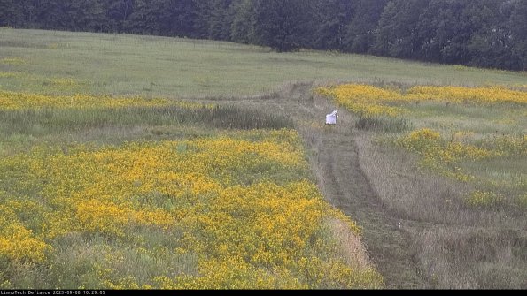 Cell 1 to 2_23-09-08_10-29-05-87