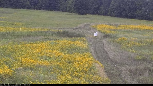 Cell 1 to 2_23-09-08_13-50-04-90