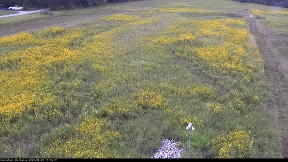 Cell 1_23-09-08_13-16-21-90