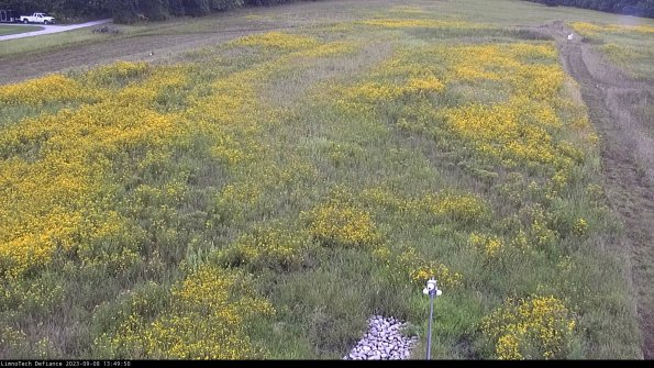 Cell 1_23-09-08_13-49-50-88