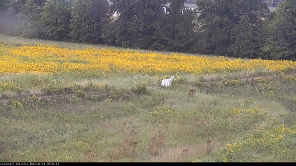 Cell 2 to 3_23-09-08_09-56-02-95