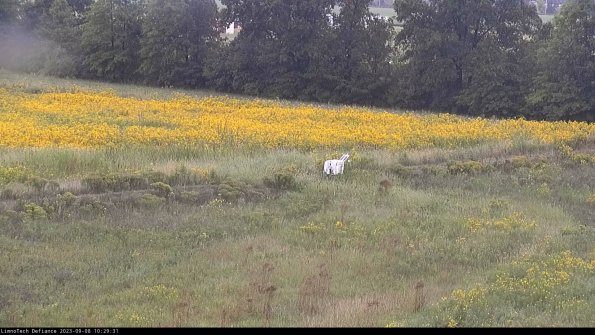 Cell 2 to 3_23-09-08_10-29-31-90