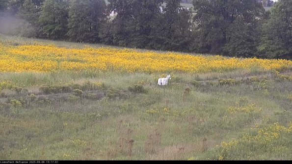 Cell 2 to 3_23-09-08_13-17-02-00