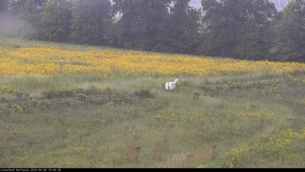 Cell 2 to 3_23-09-08_16-04-28-94