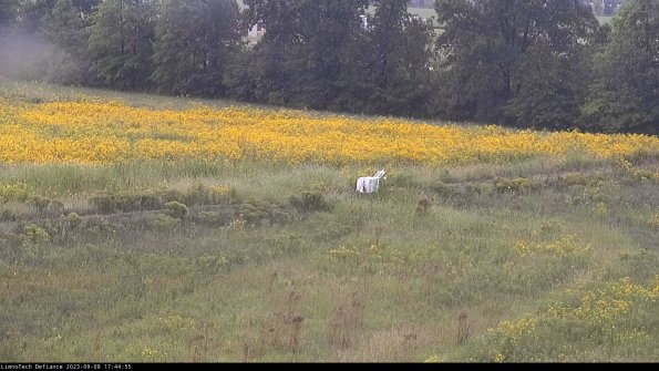 Cell 2 to 3_23-09-08_17-44-56-03